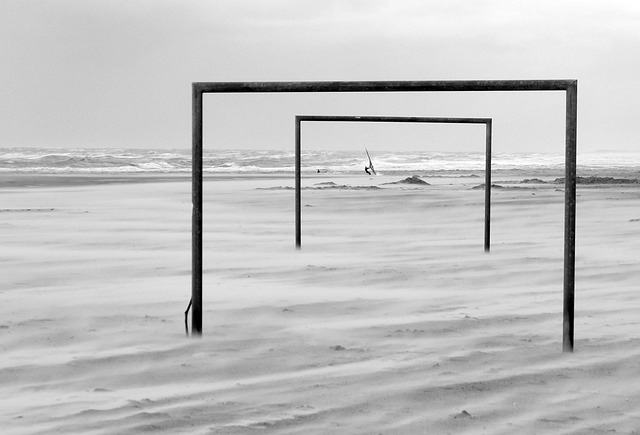 库里的领袖 库里的领袖